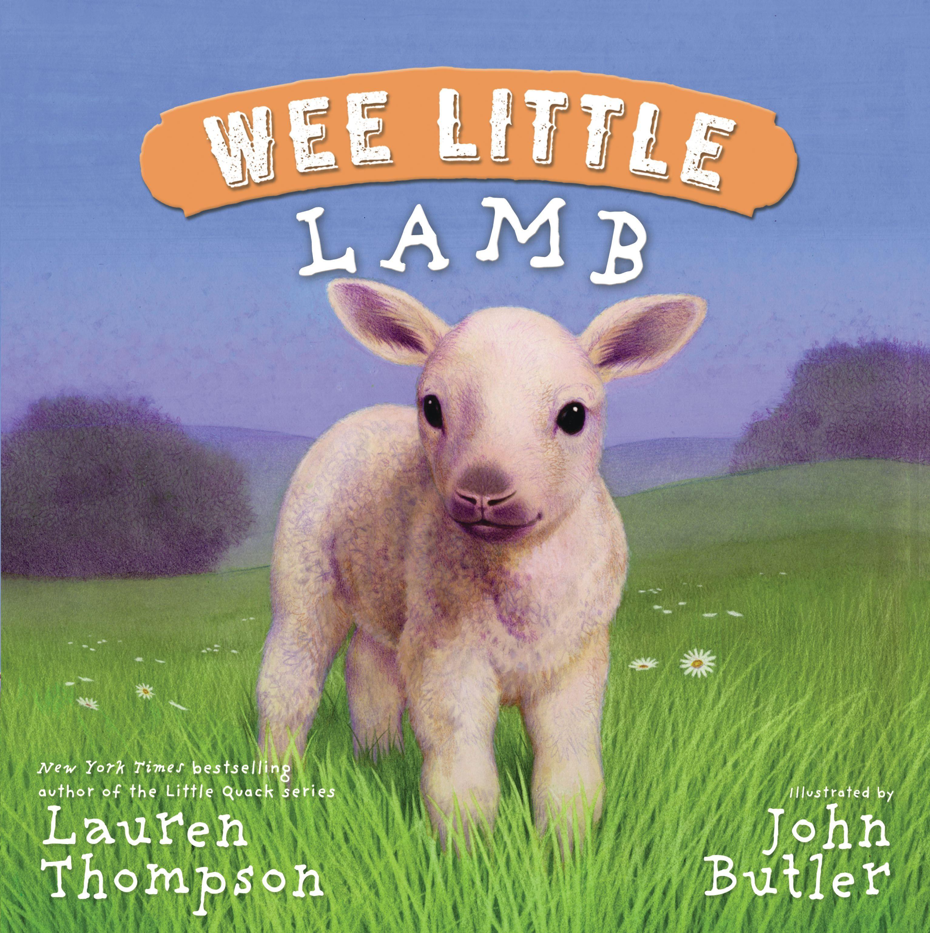 Vorderes Coverbild Wee Little Lamb