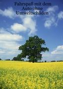 Vorderes Coverbild Fahrspaß mit dem Auto ohne Umweltschäden