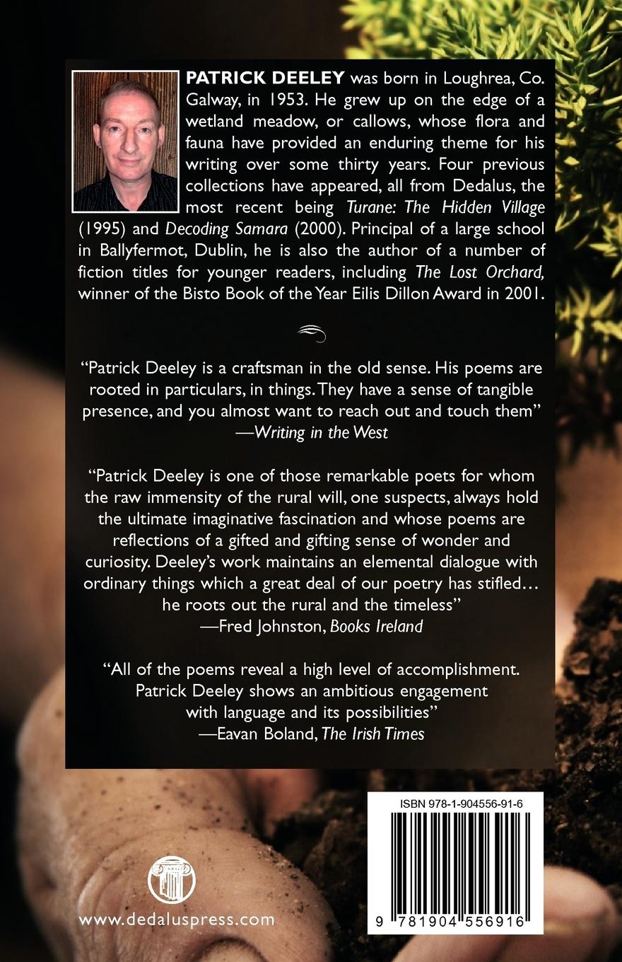 Rückseitencover The Bones of Creation