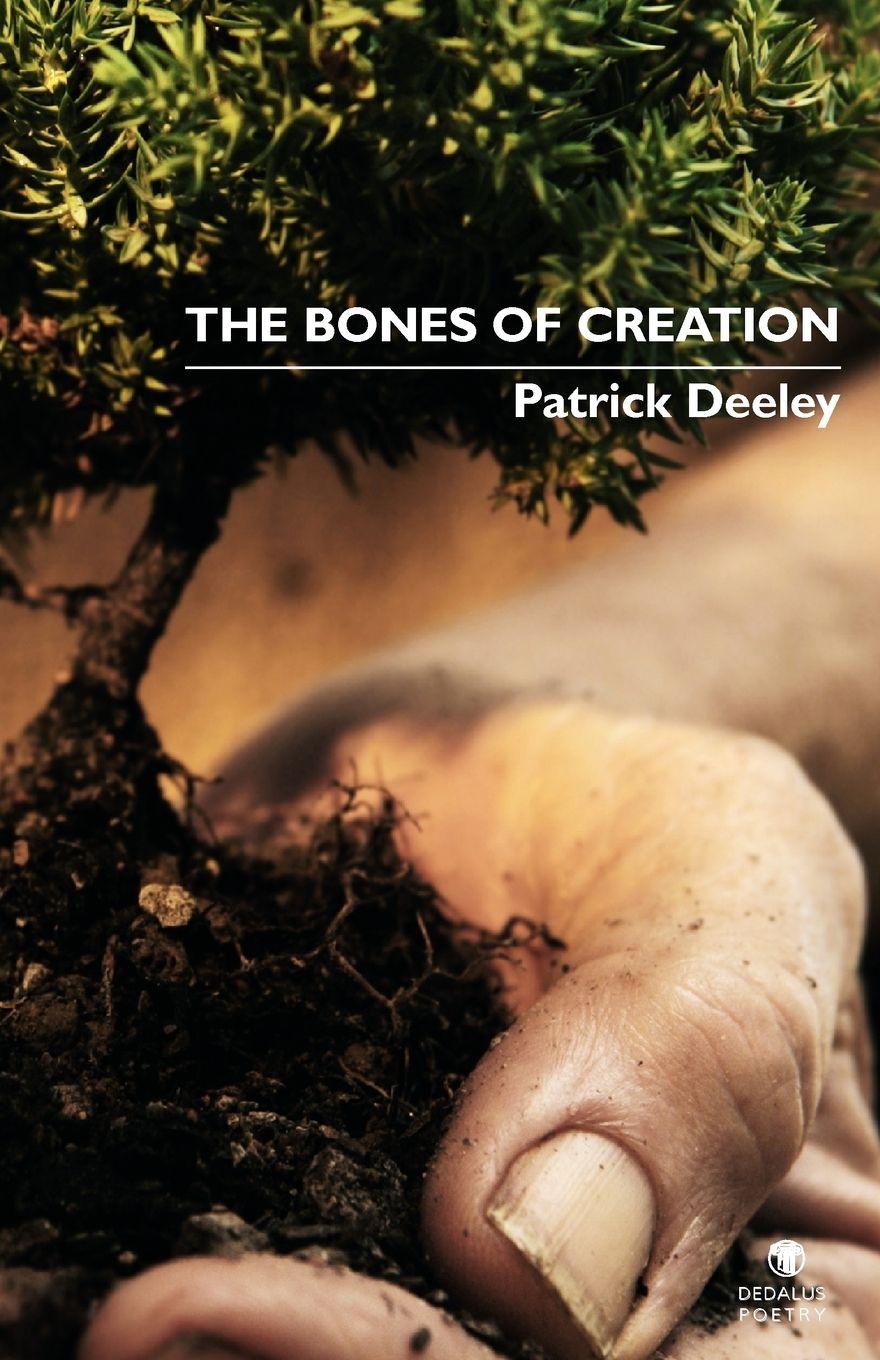 Vorderes Coverbild The Bones of Creation