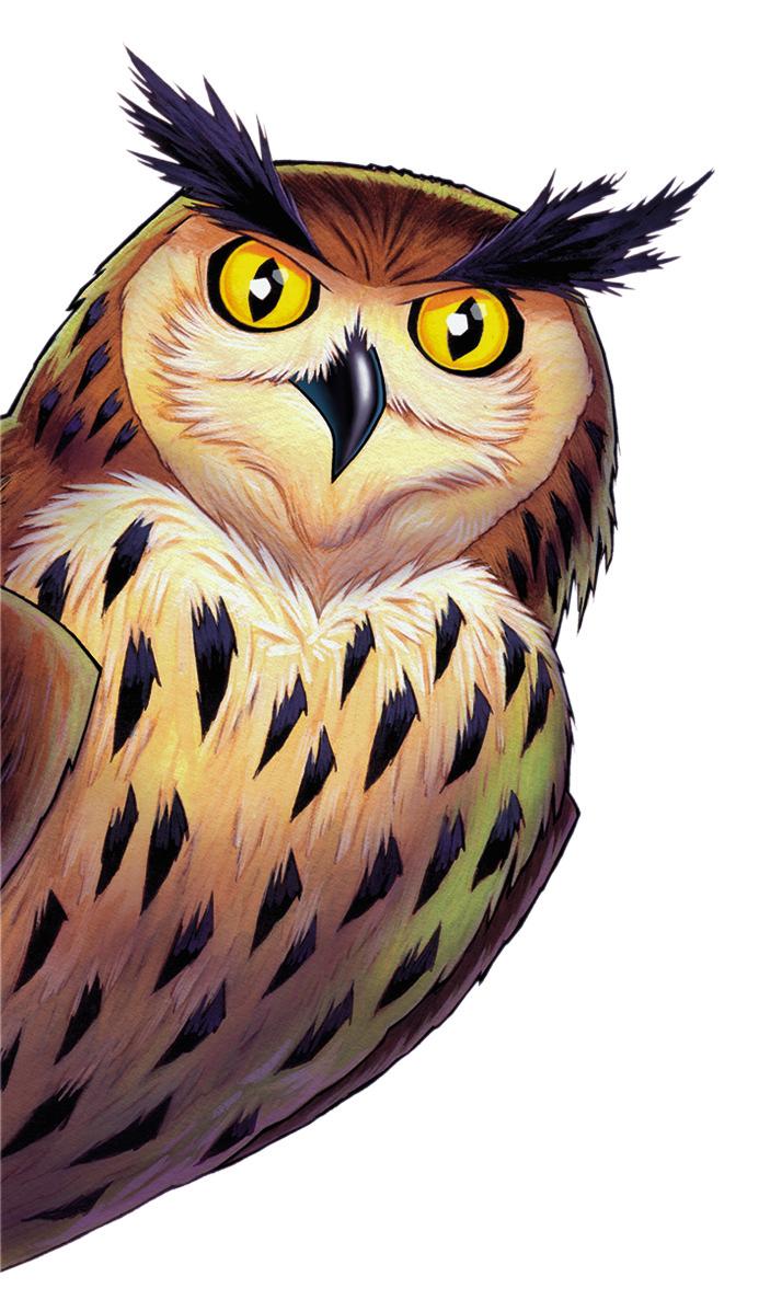 Beispielinhalt (Bild) Wer war's?