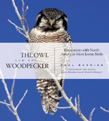 Vorderes Coverbild The Owl and the Woodpecker: Encounters with North America's Most Iconic Birds [With CD]