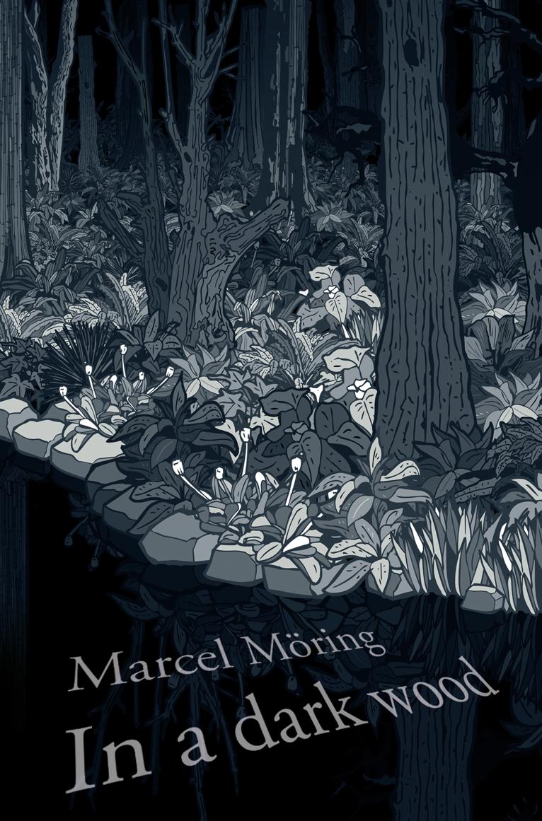 Vorderes Coverbild In A Dark Wood
