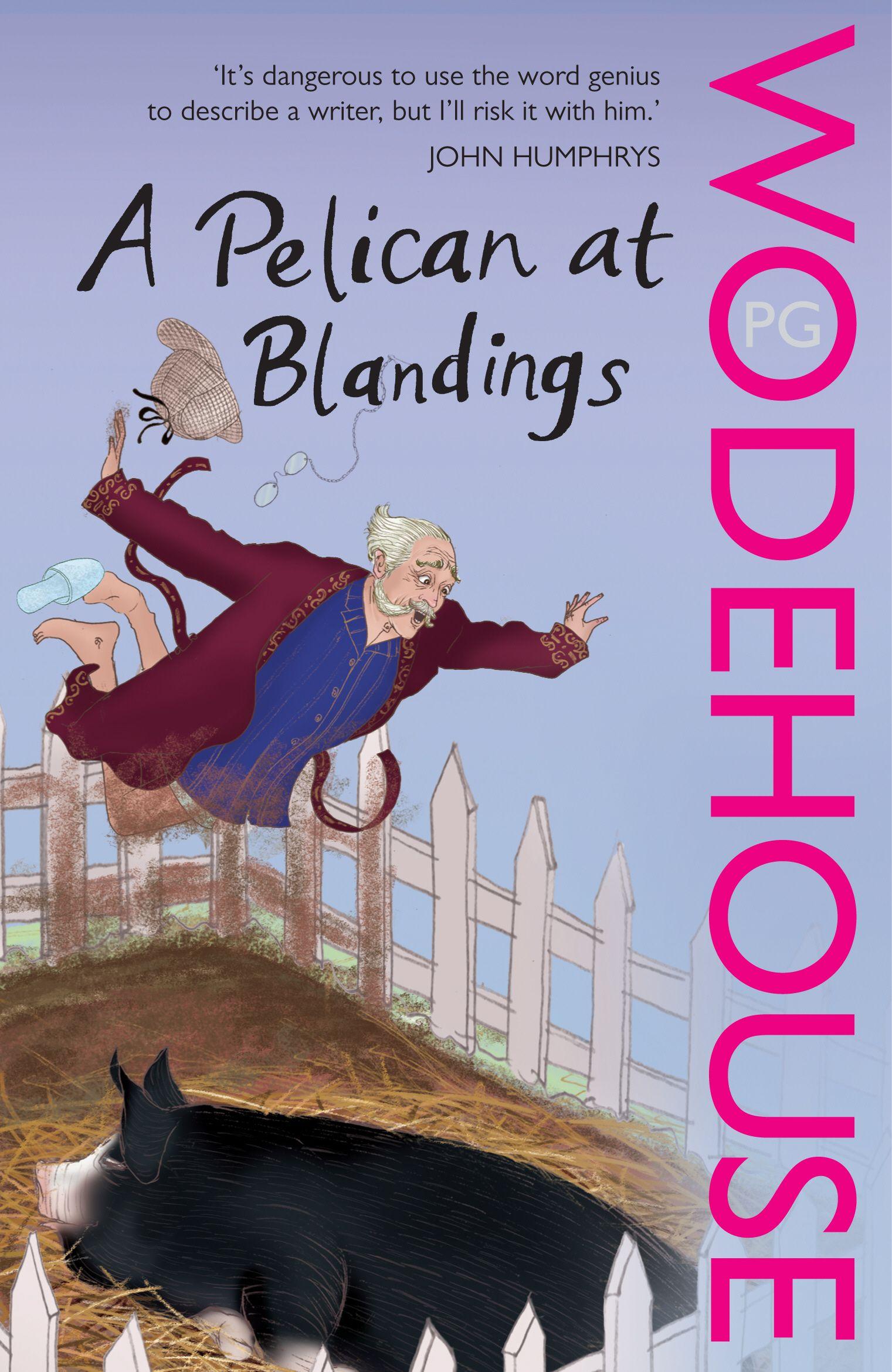 Vorderes Coverbild A Pelican at Blandings