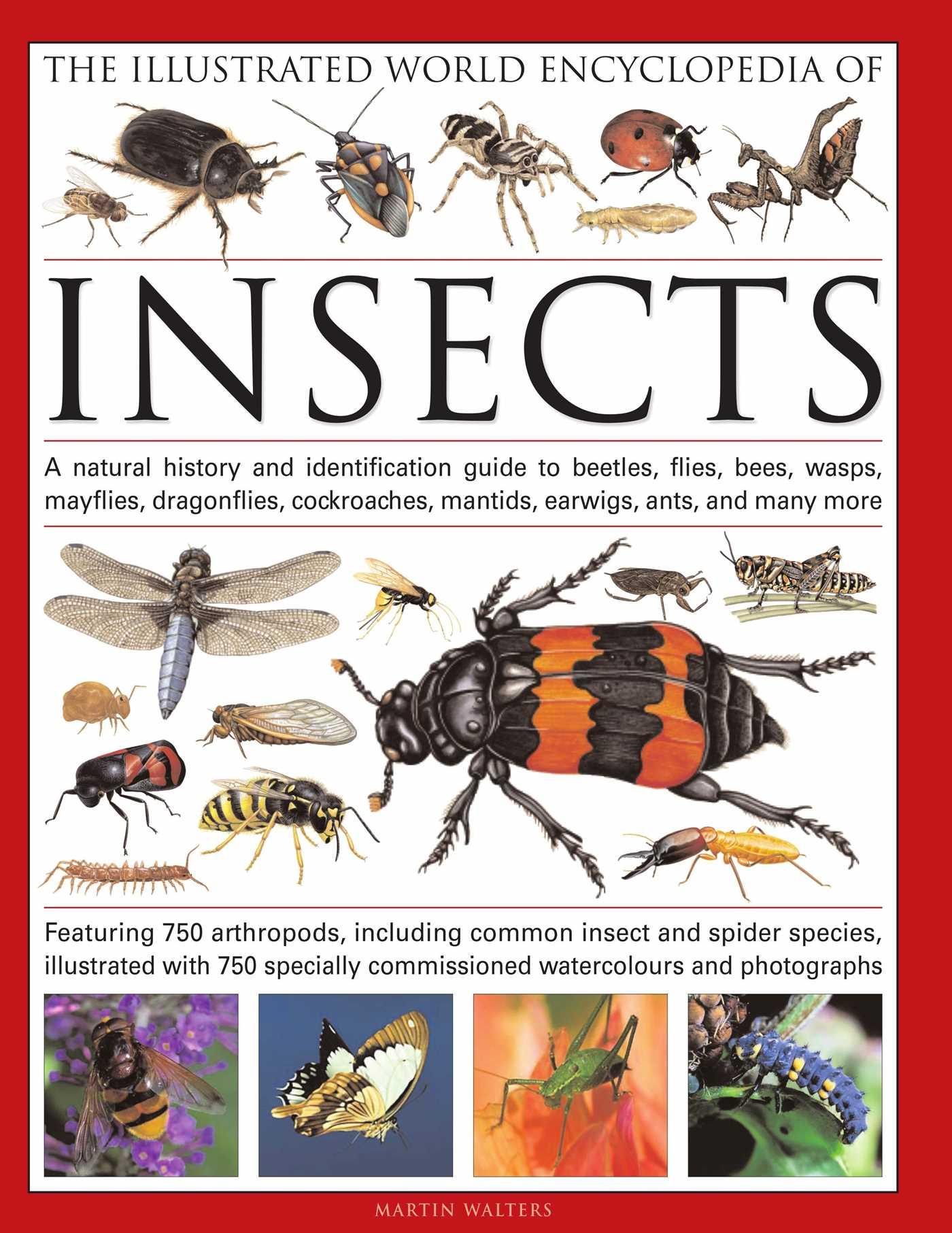 Vorderes Coverbild The Illustrated World Encyclopedia of Insects