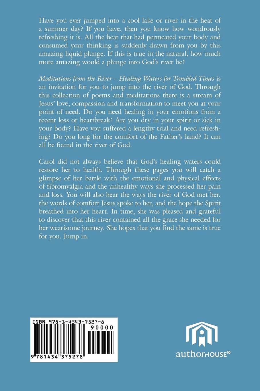 Rückseitencover Meditations from the River