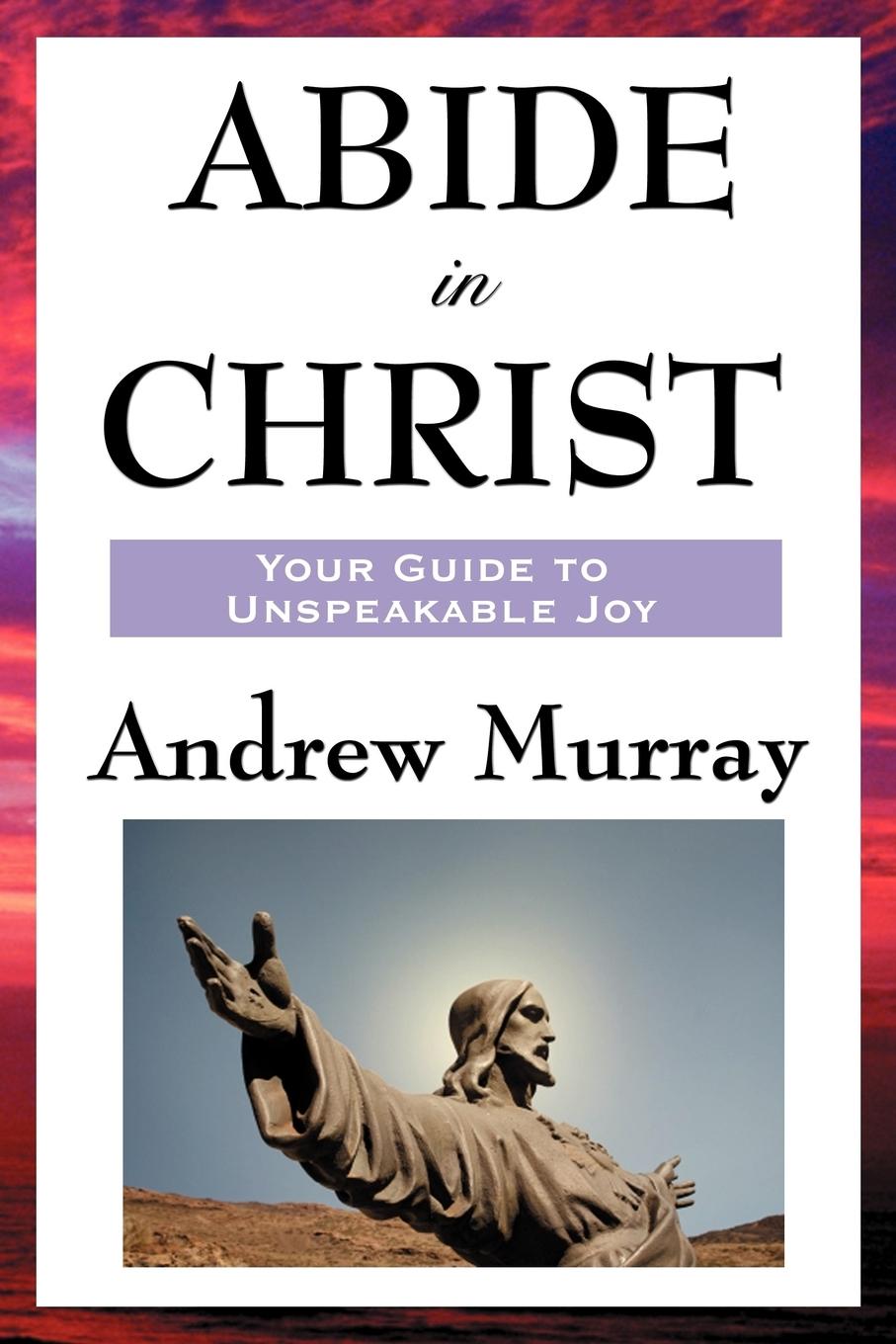 Vorderes Coverbild Abide in Christ