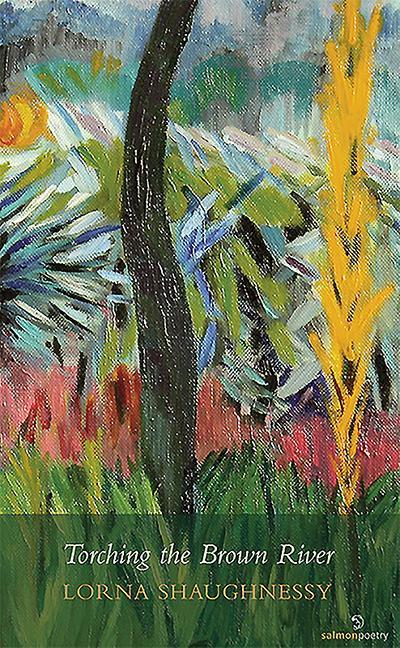 Vorderes Coverbild Torching the Brown River