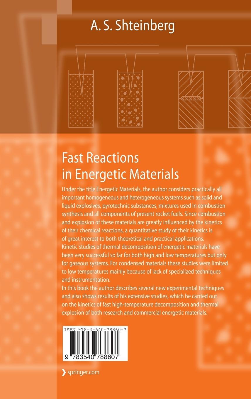 Rückseitencover Fast Reactions in Energetic Materials