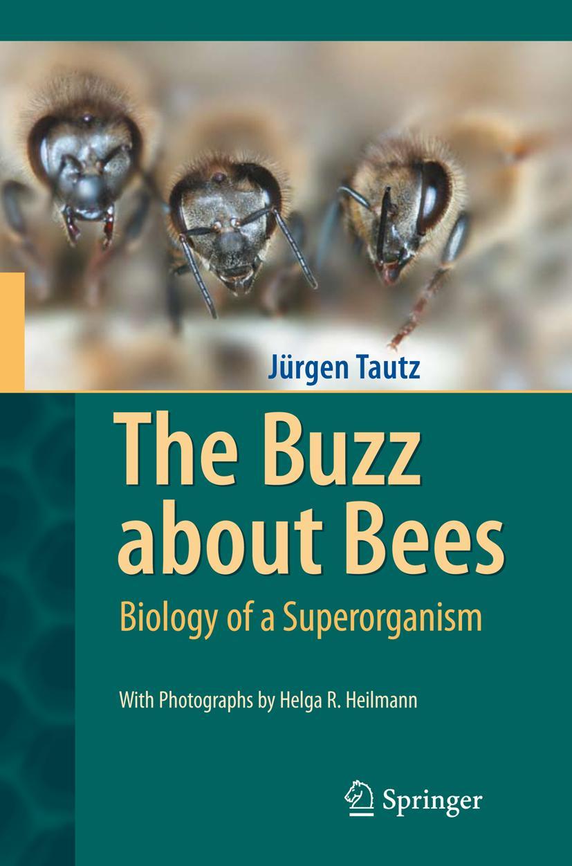 Vorderes Coverbild The Buzz about Bees