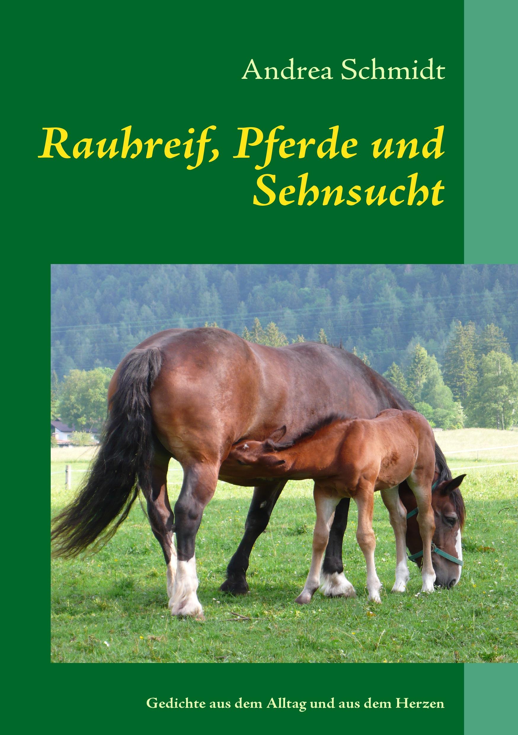 Vorderes Coverbild Rauhreif, Pferde und Sehnsucht