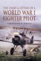 Vorderes Coverbild Diary and Letters of a World War I Fighter Pilot