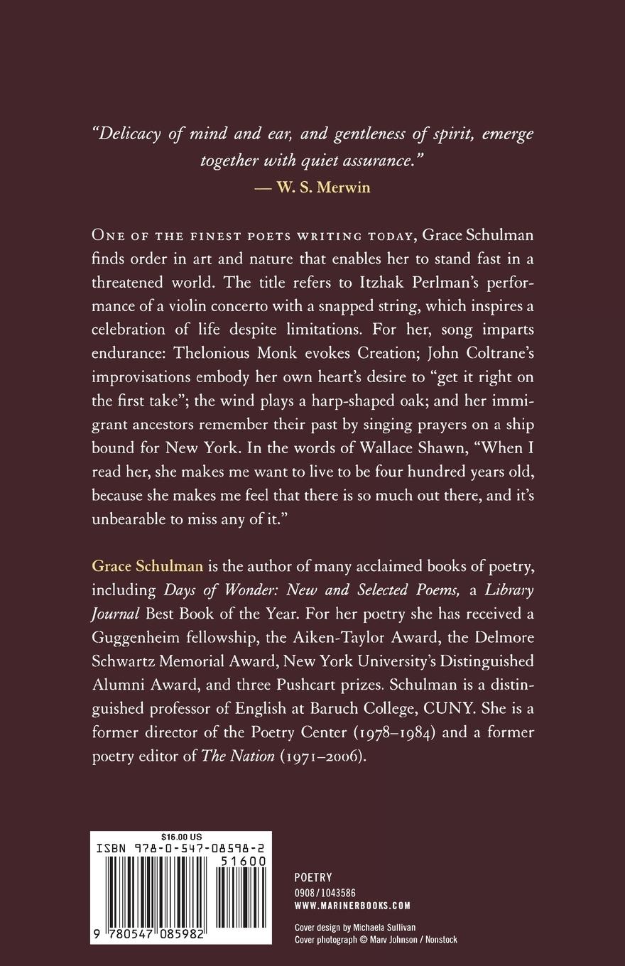 Rückseitencover The Broken String