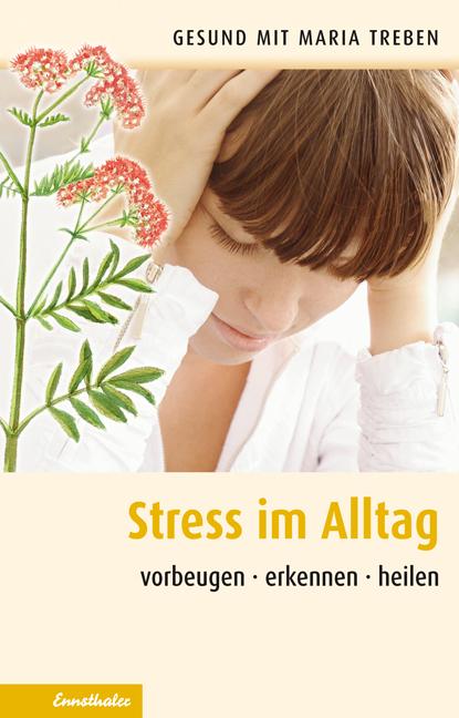 Vorderes Coverbild Streß im Alltag