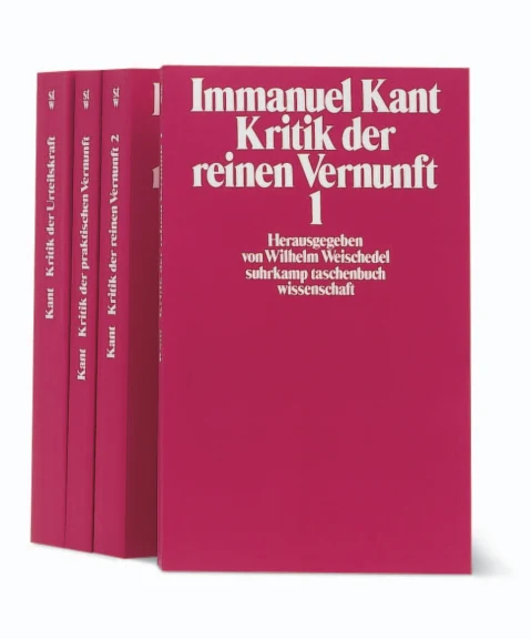Vorderes Coverbild Die Kritiken