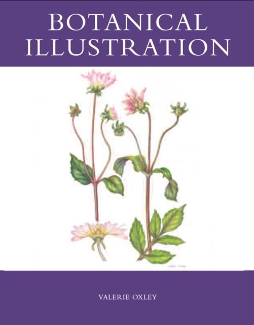 Vorderes Coverbild Botanical Illustration
