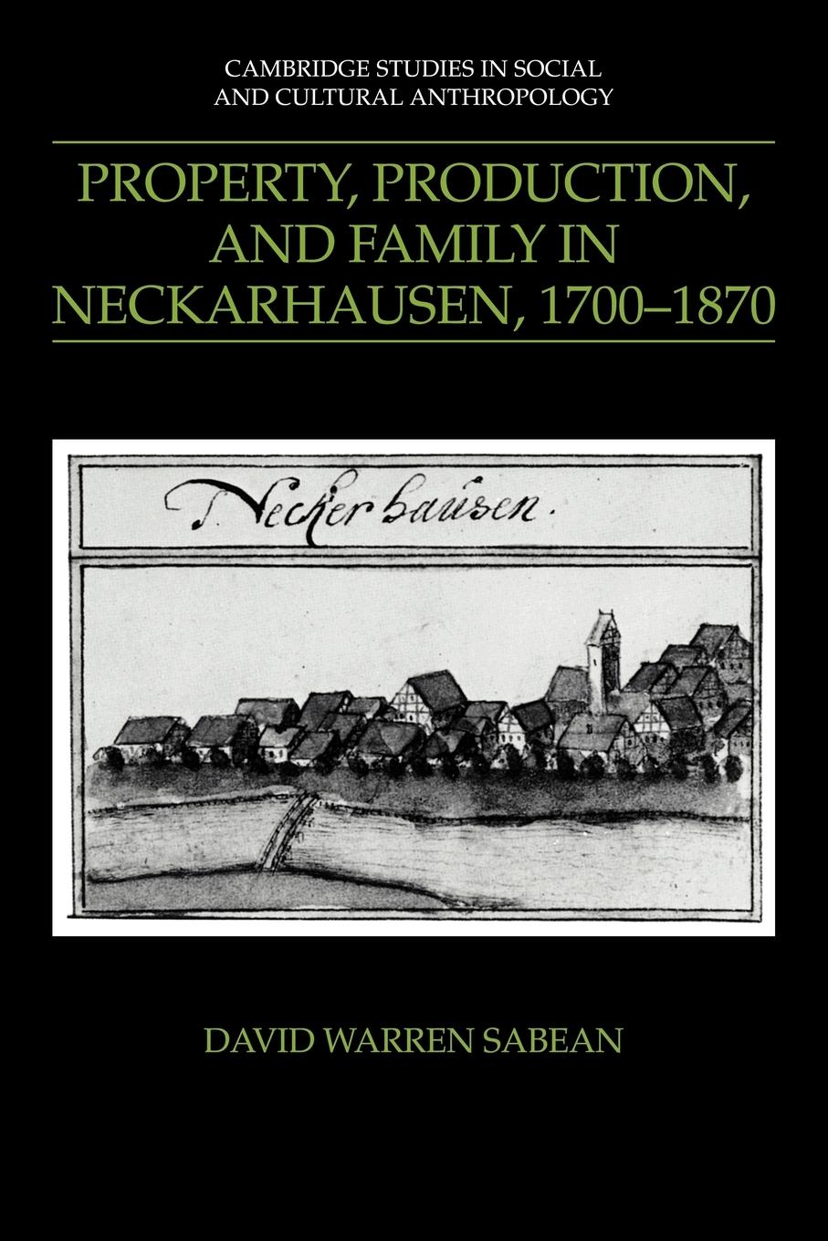 Vorderes Coverbild Property, Production, and Family in Neckarhausen, 1700 1870