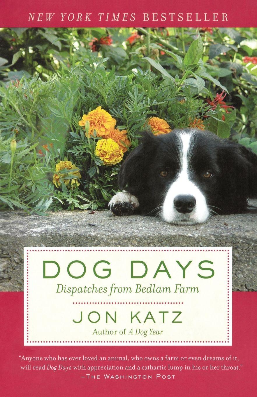 Vorderes Coverbild Dog Days