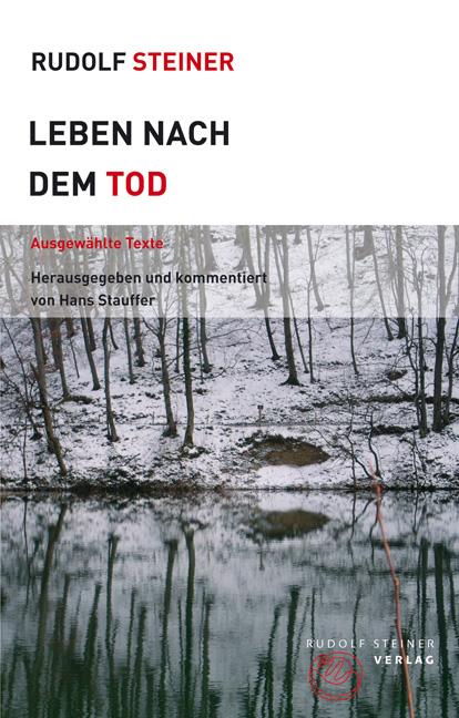 Vorderes Coverbild Leben nach dem Tod