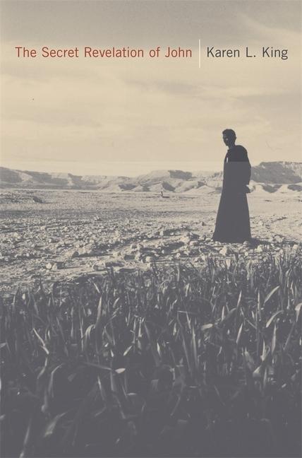 Vorderes Coverbild The Secret Revelation of John