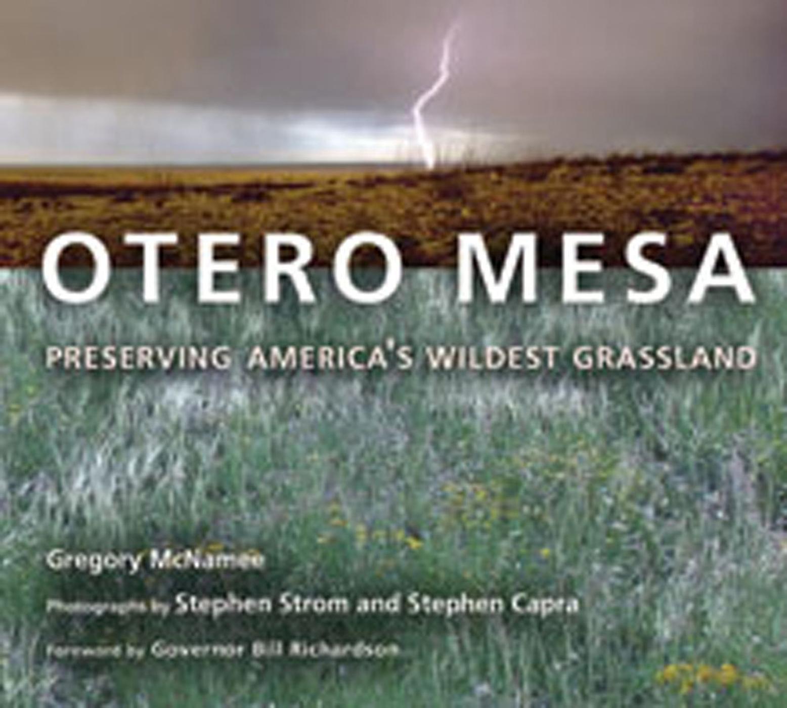 Vorderes Coverbild Otero Mesa