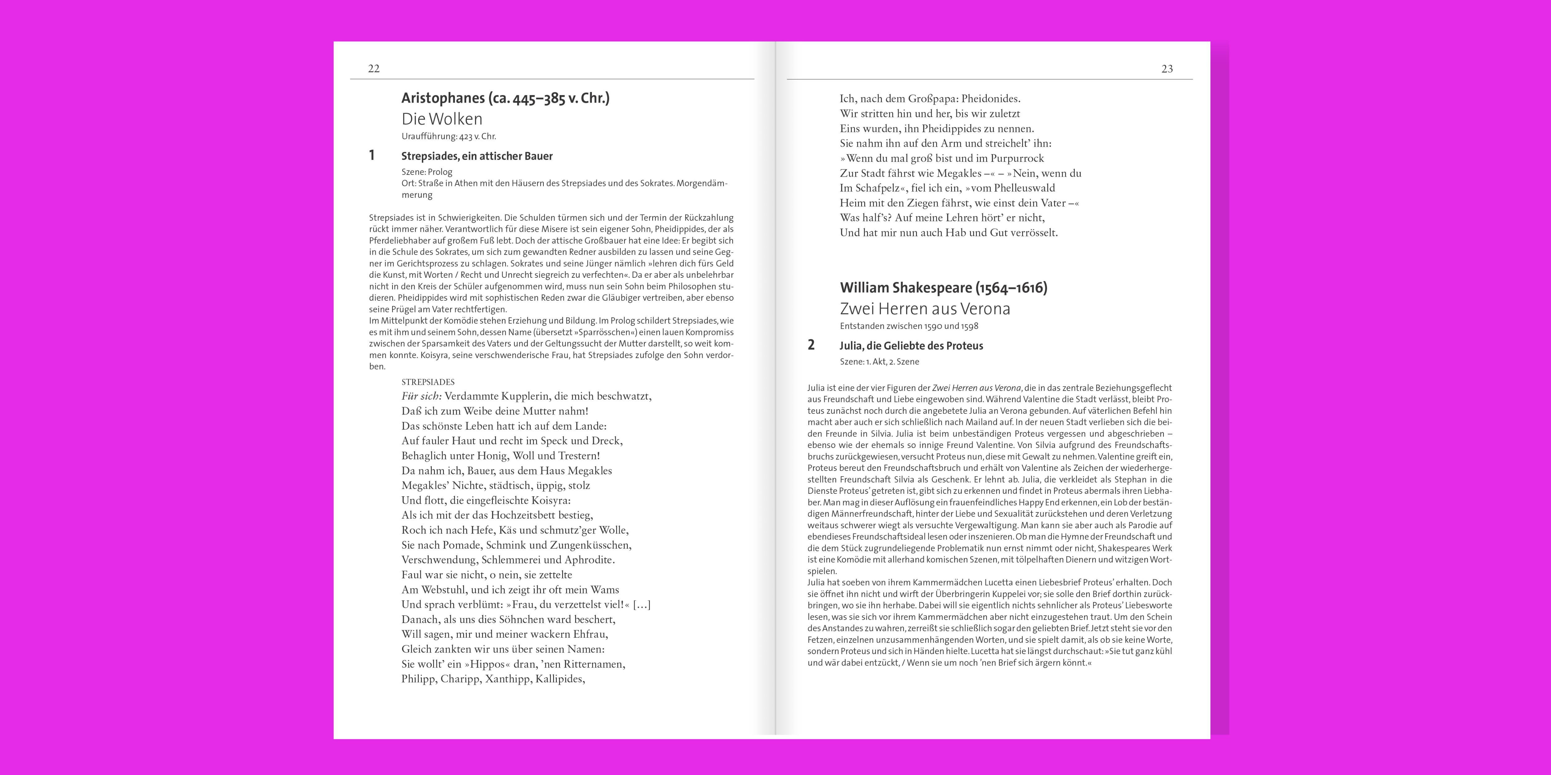 Beispielinhalt (Bild) 55 komische Monologe