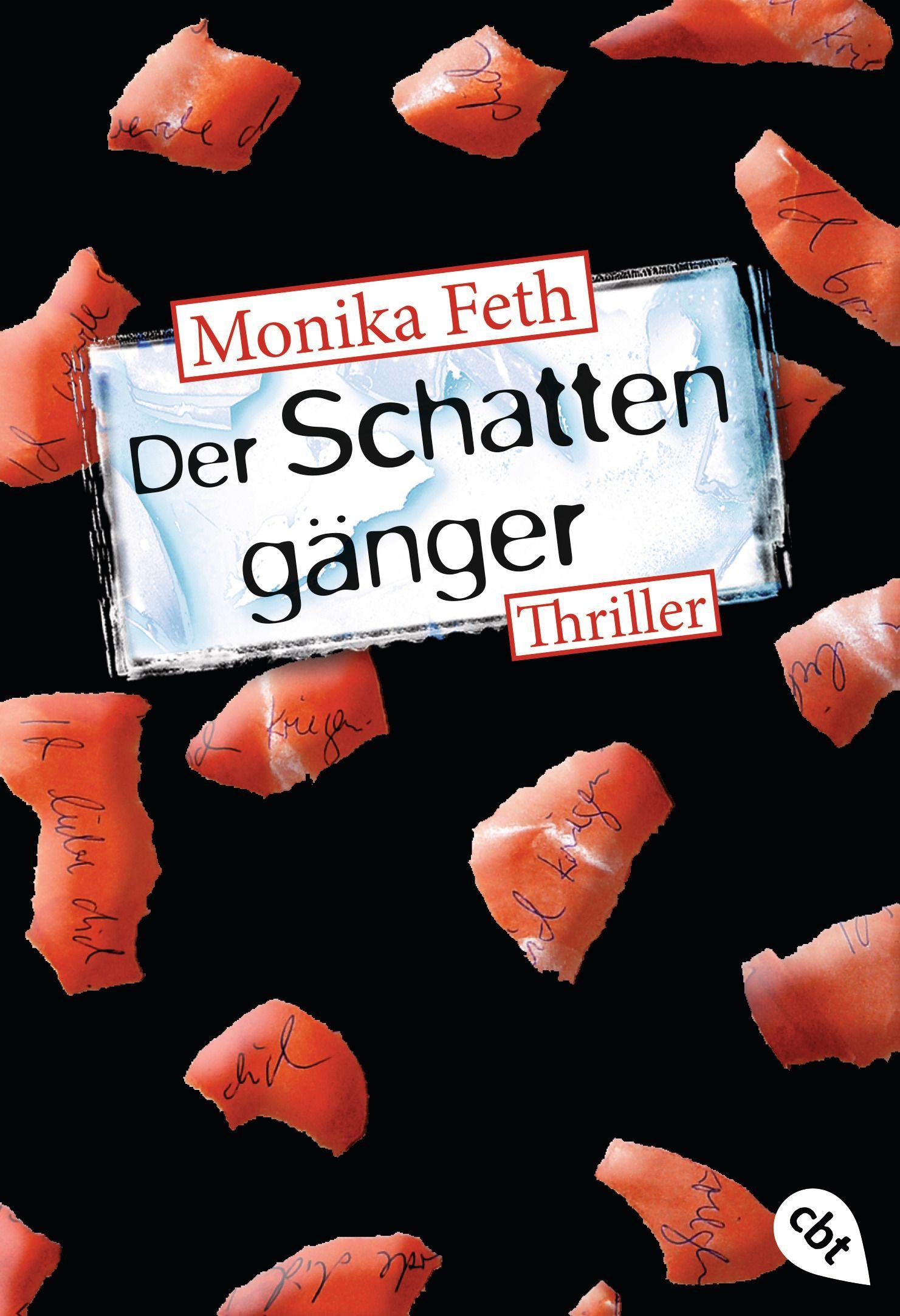 Vorderes Coverbild Der Schattengänger