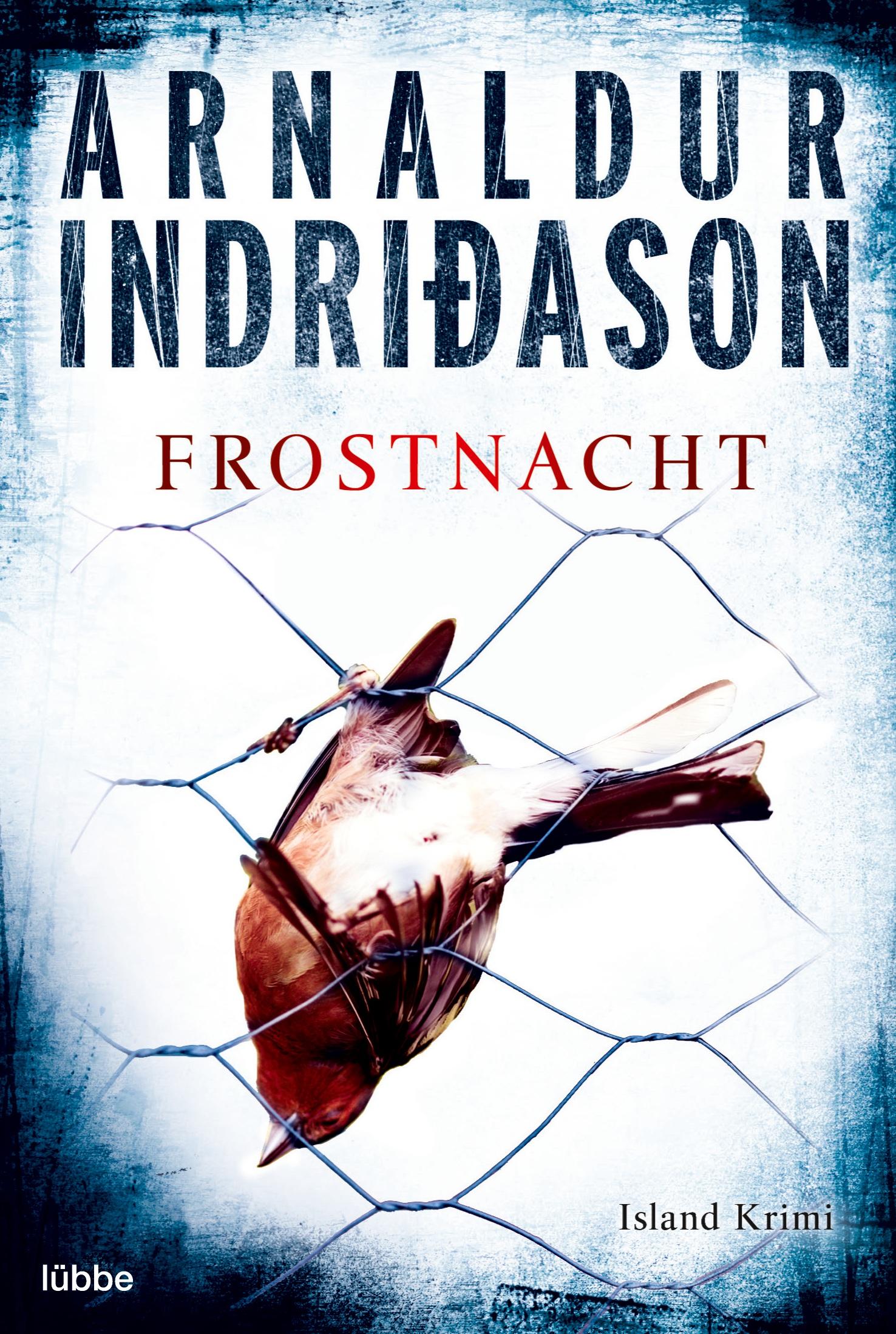 Vorderes Coverbild Frostnacht