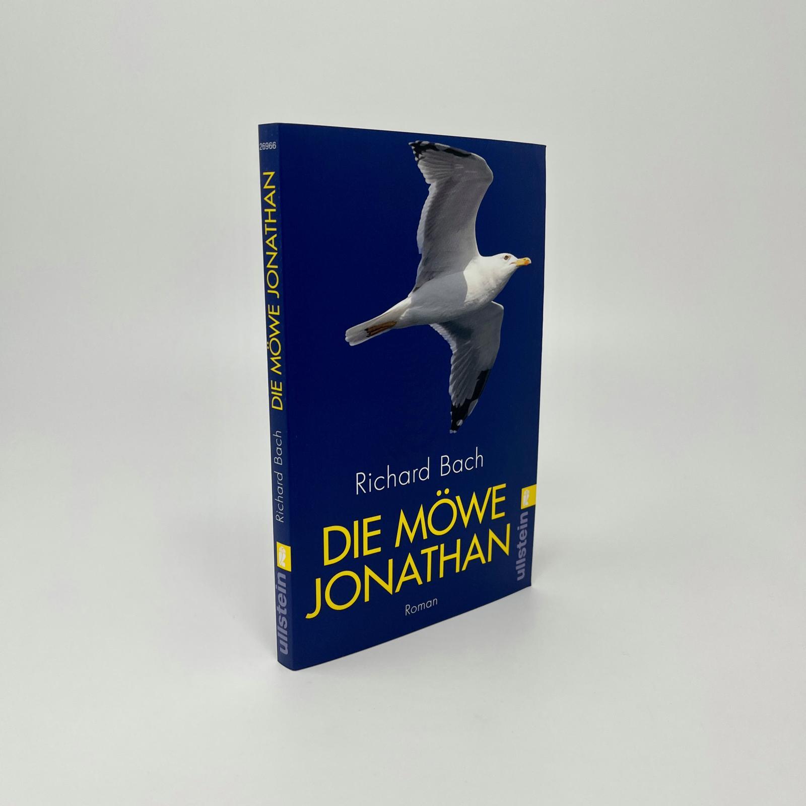 Beispielinhalt (Bild) Die Möwe Jonathan