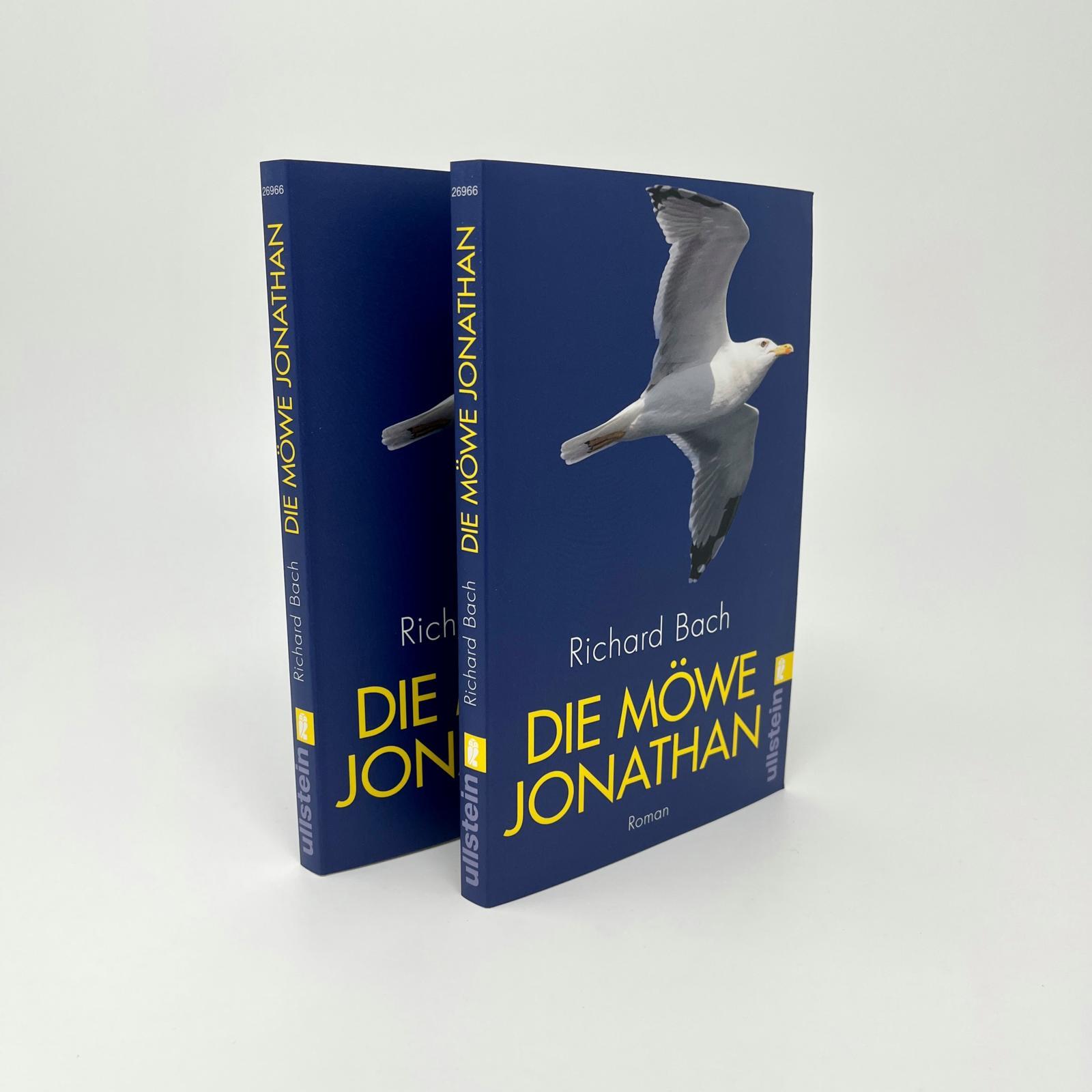 Beispielinhalt (Bild) Die Möwe Jonathan