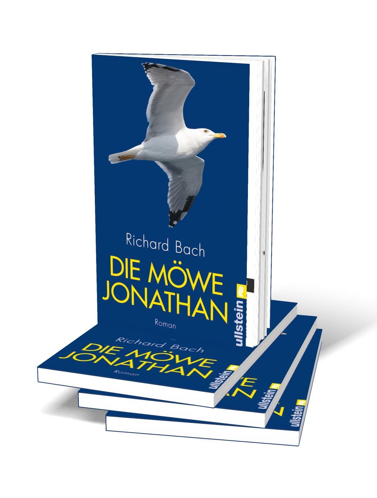 Beispielinhalt (Bild) Die Möwe Jonathan