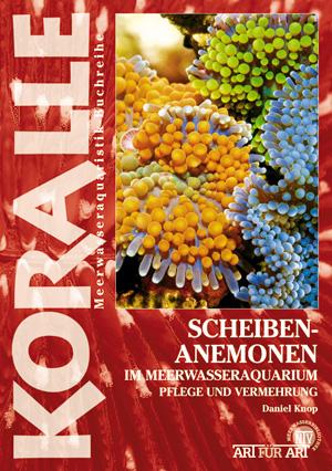 Vorderes Coverbild Scheibenanemonen
