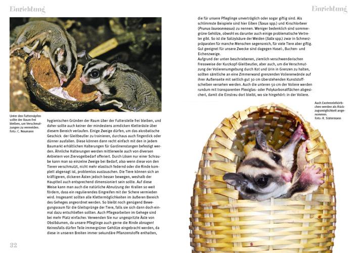 Beispielinhalt (Bild) Der Sugar Glider