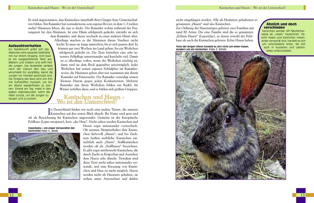 Beispielinhalt (Bild) Leben mit Kaninchen