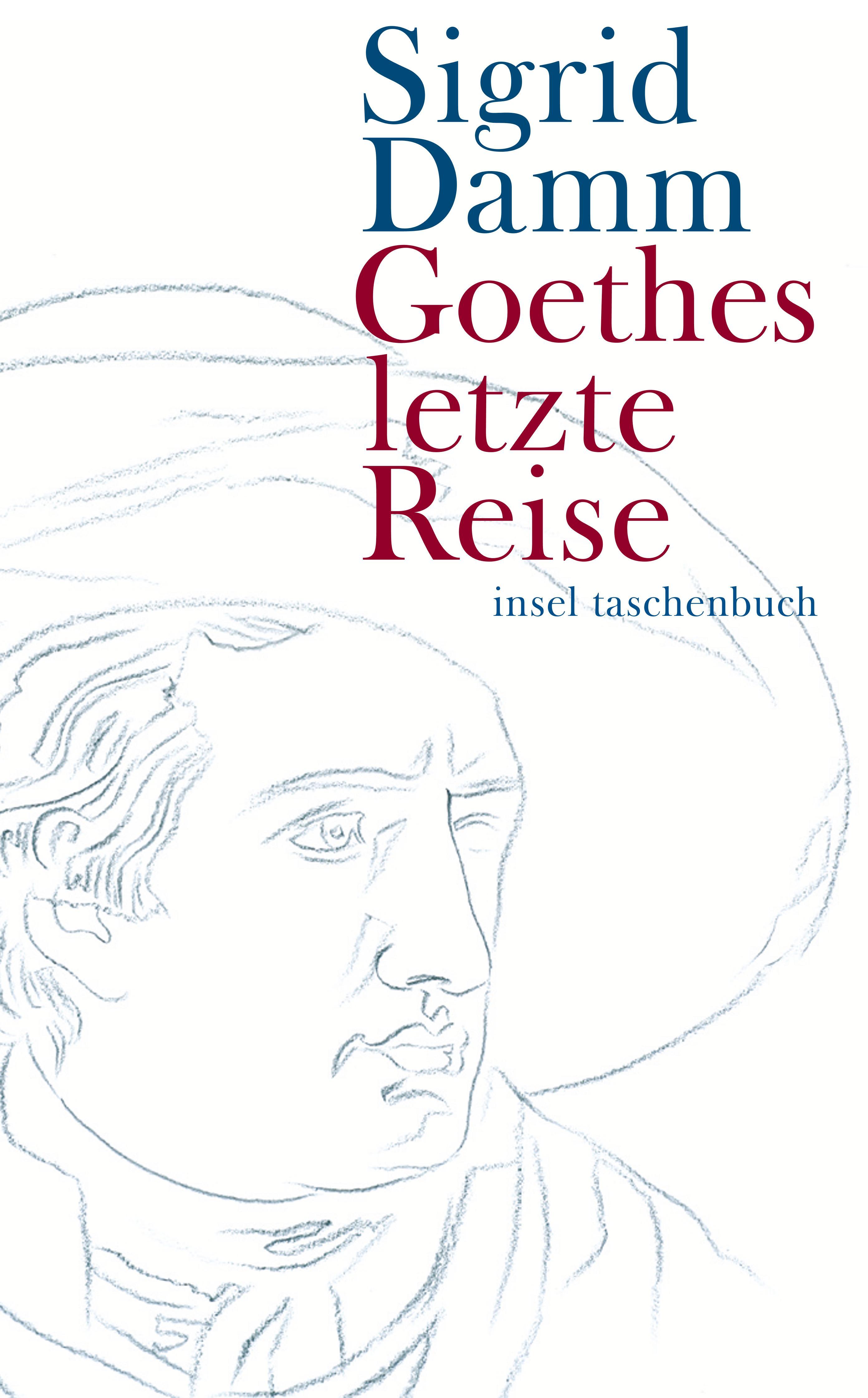 Vorderes Coverbild Goethes letzte Reise