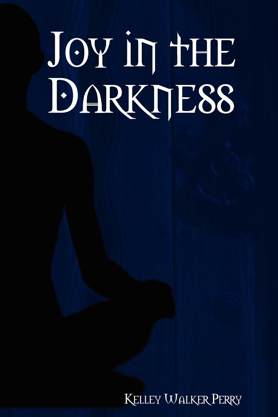 Vorderes Coverbild Joy in the Darkness