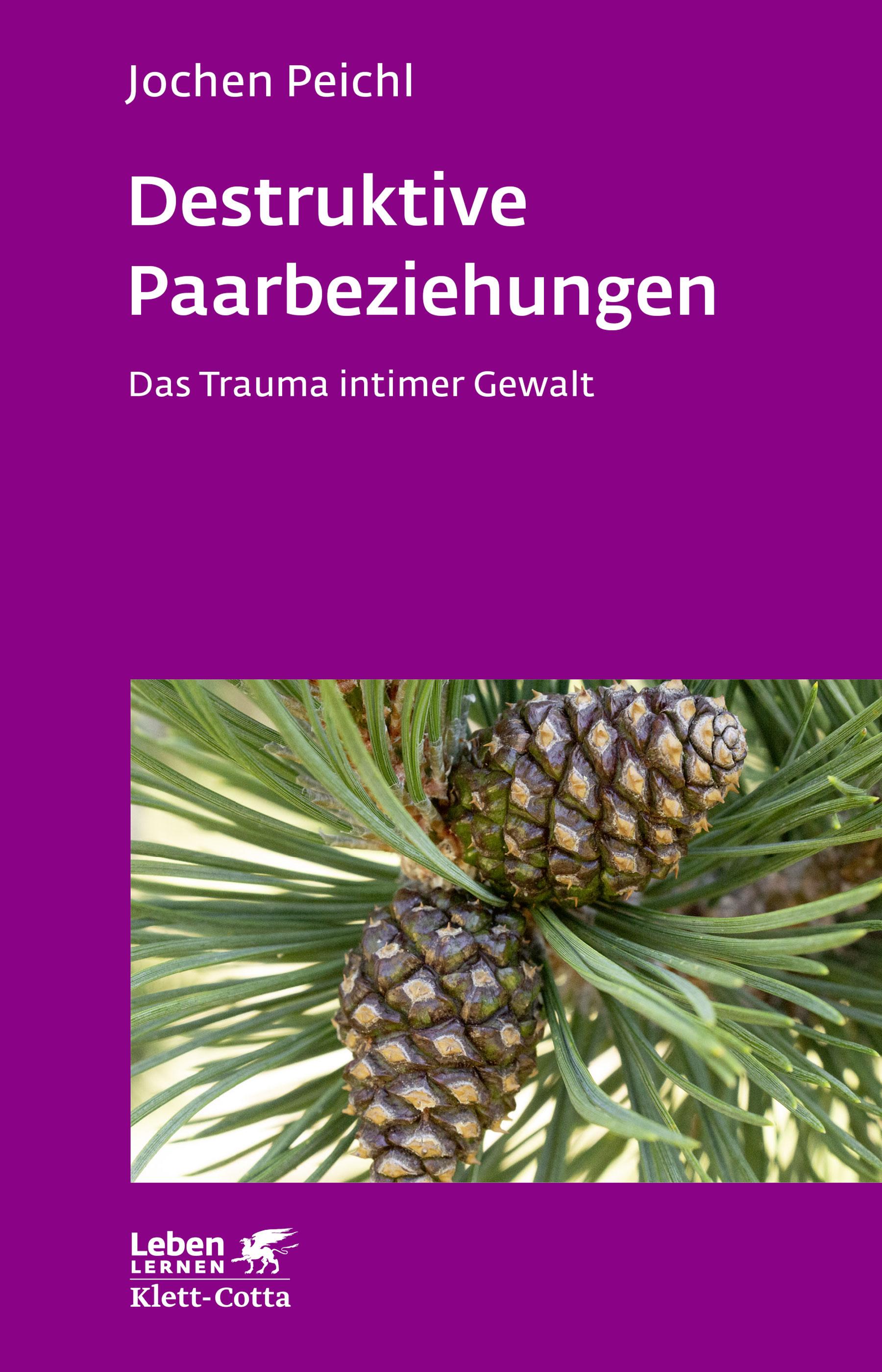 Vorderes Coverbild Destruktive Paarbeziehungen (Leben lernen, Bd. 214)