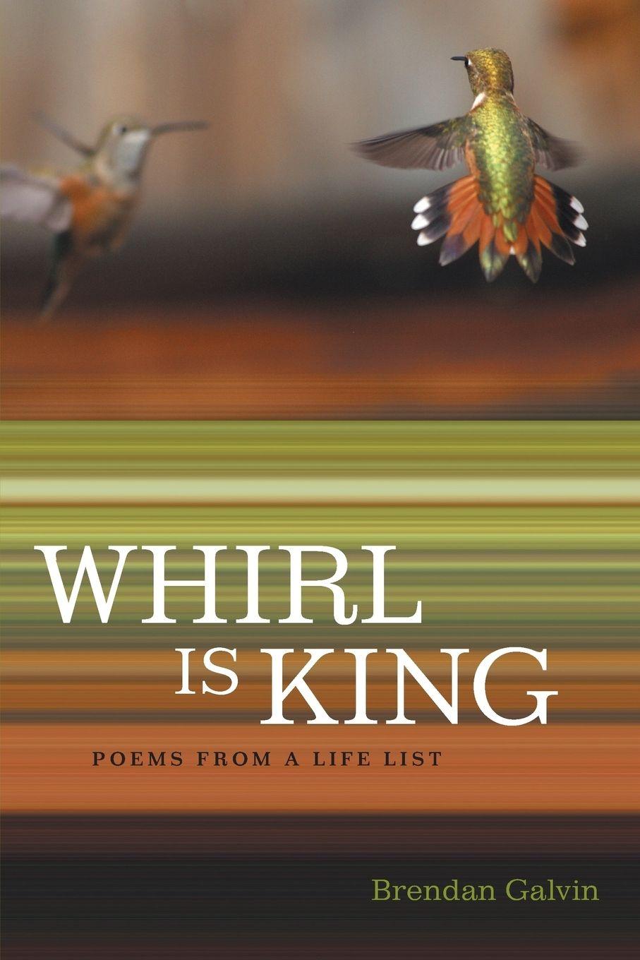 Vorderes Coverbild Whirl Is King