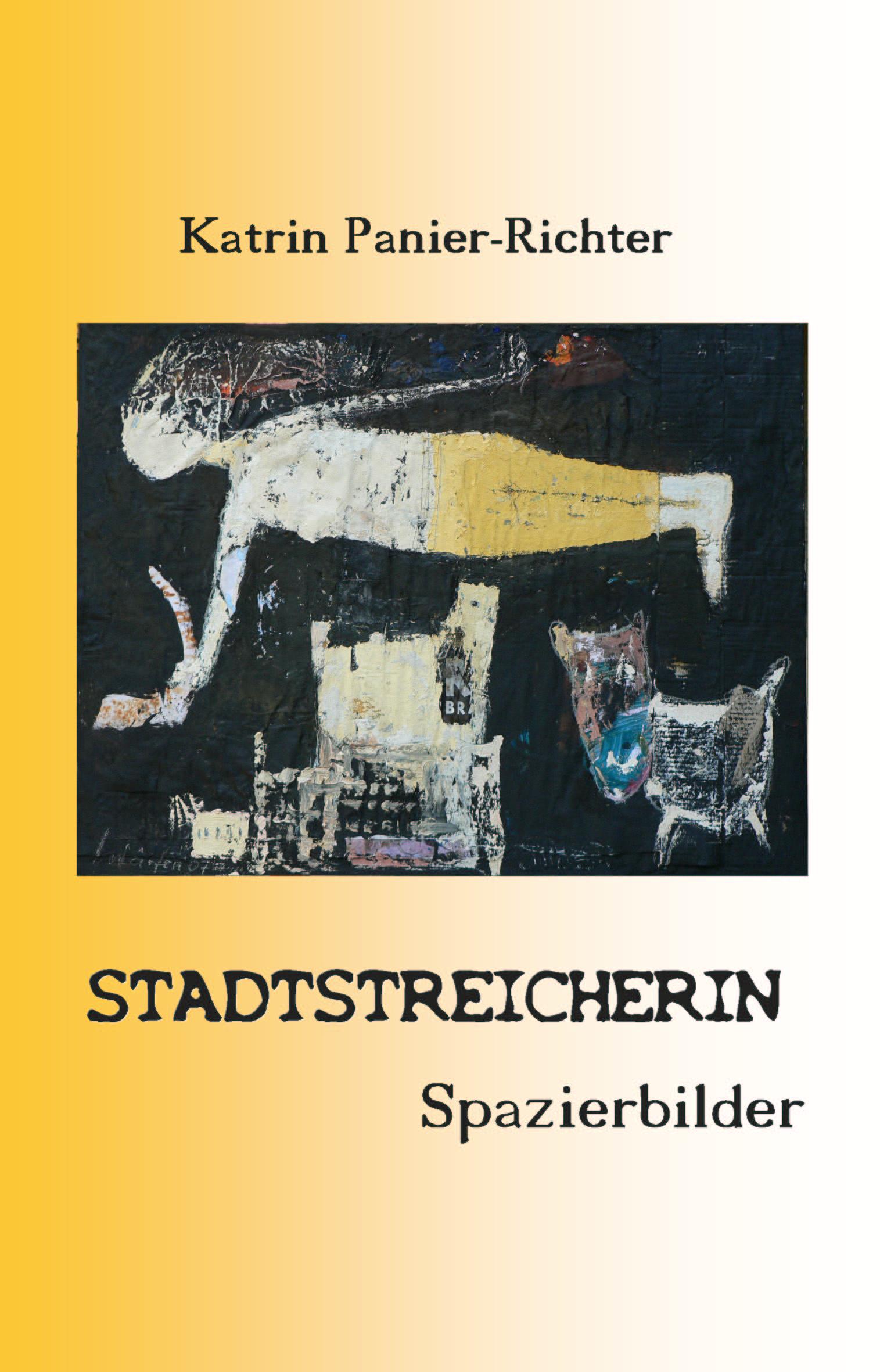 Vorderes Coverbild Stadtstreicherin