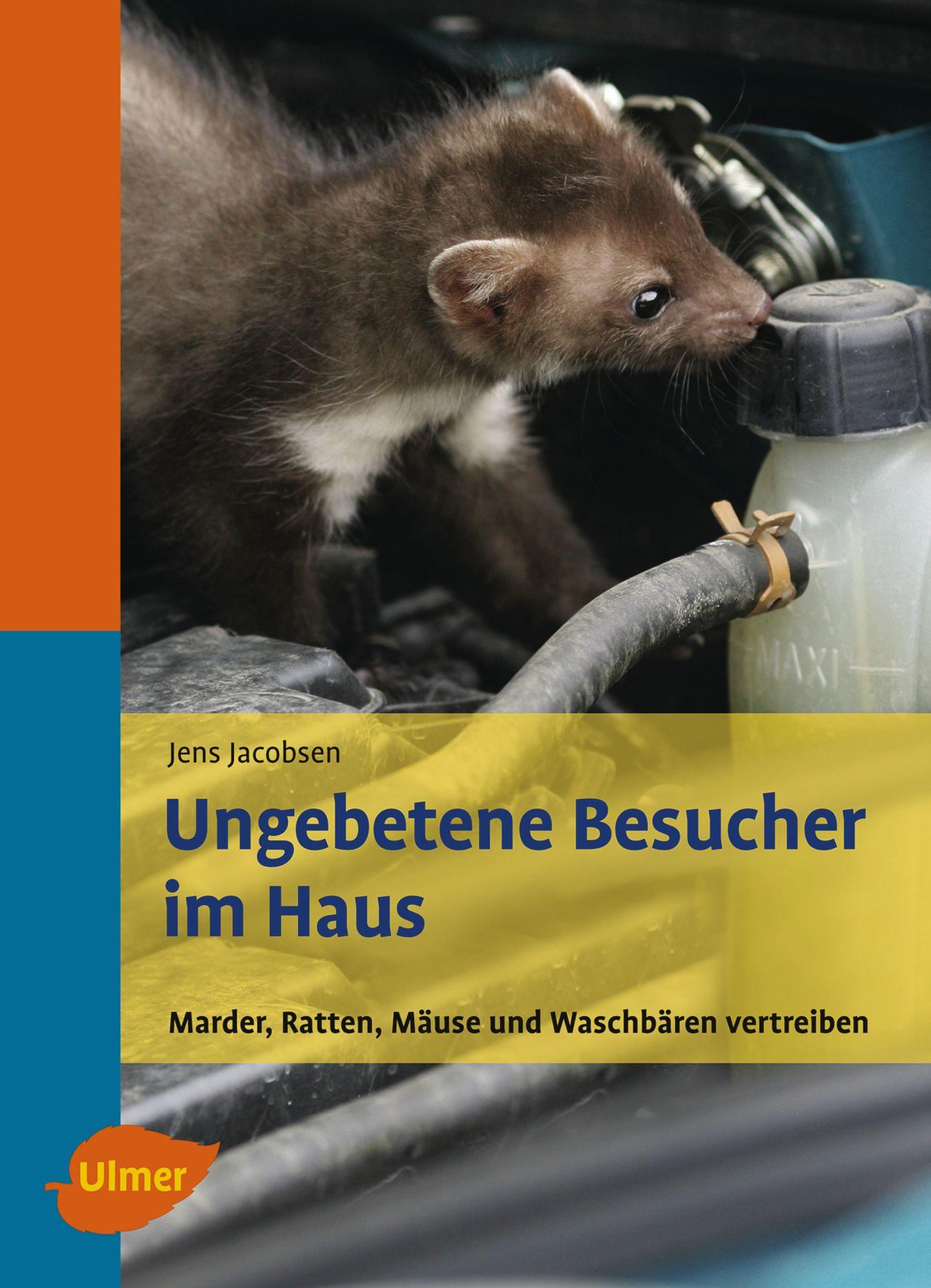 Vorderes Coverbild Ungebetene Besucher im Haus