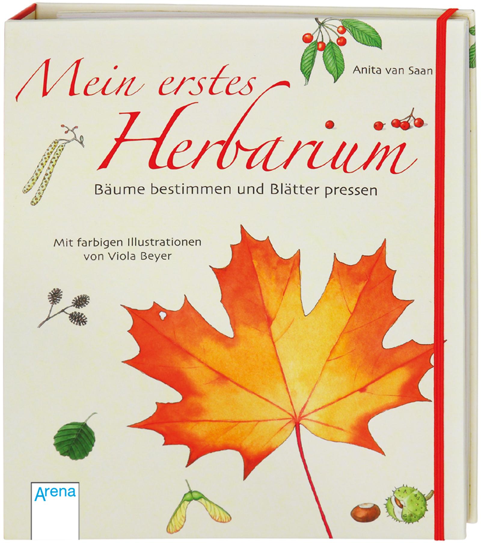 Vorderes Coverbild Mein erstes Herbarium - Bäume bestimmen und Blätter pressen