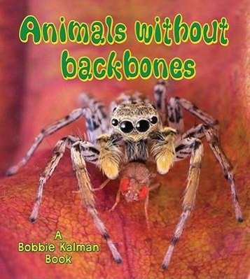 Vorderes Coverbild Animals Without Backbones