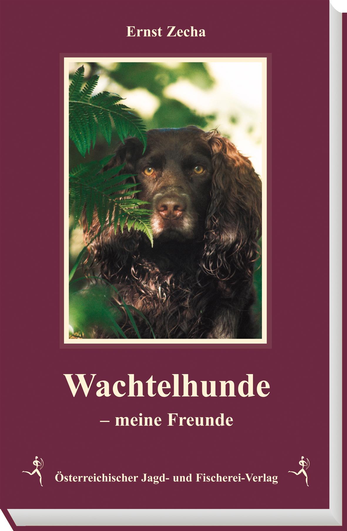 Vorderes Coverbild Wachtelhunde meine Freunde