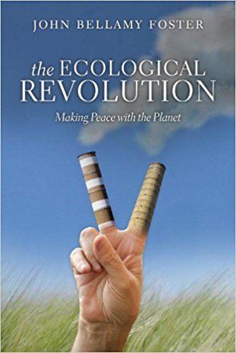 Vorderes Coverbild The Ecological Revolution