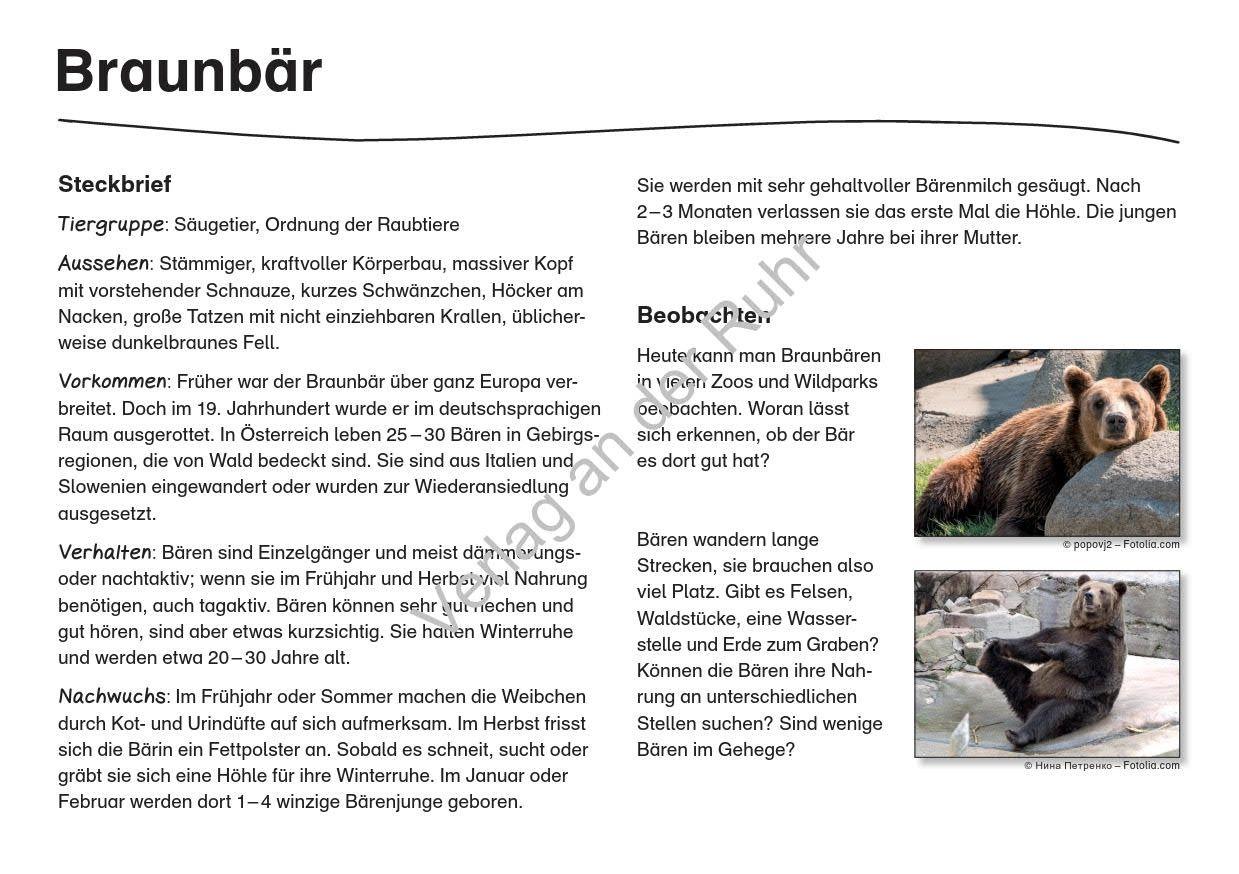 Beispielinhalt (Bild) Waldtiere - Fotokarten mit Sachinfos