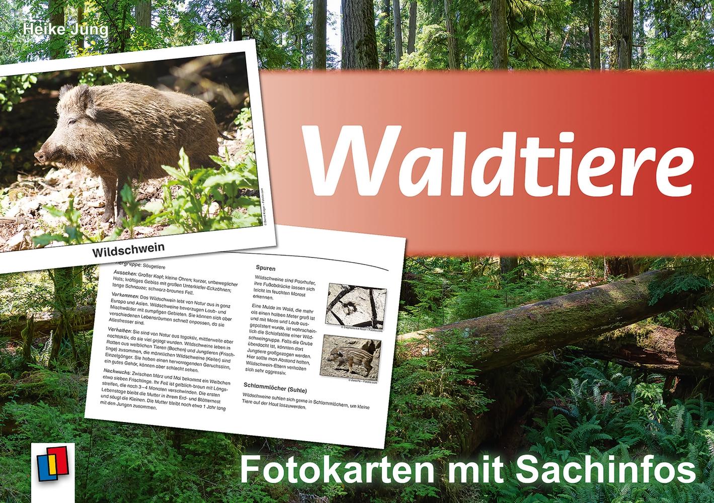 Vorderes Coverbild Waldtiere - Fotokarten mit Sachinfos