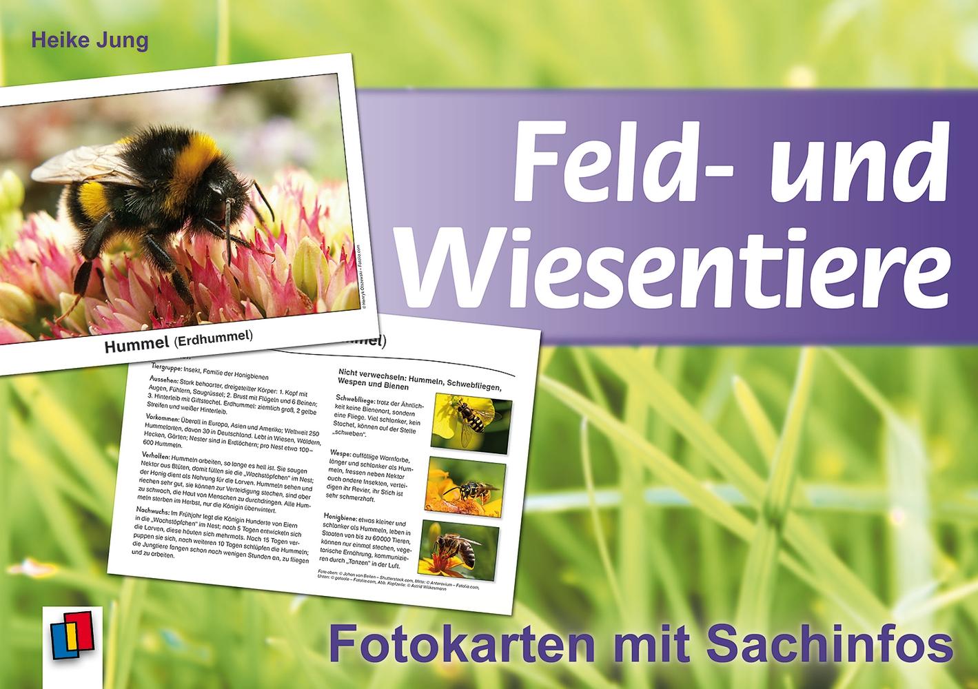 Vorderes Coverbild Feld- und Wiesentiere - Fotokarten mit Sachinfos
