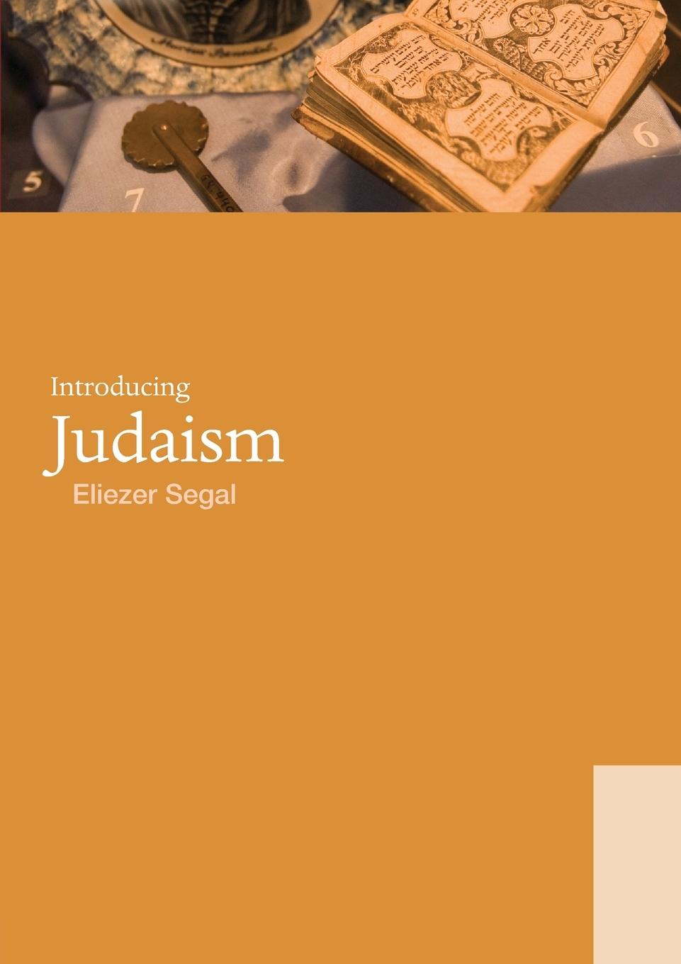 Vorderes Coverbild Introducing Judaism