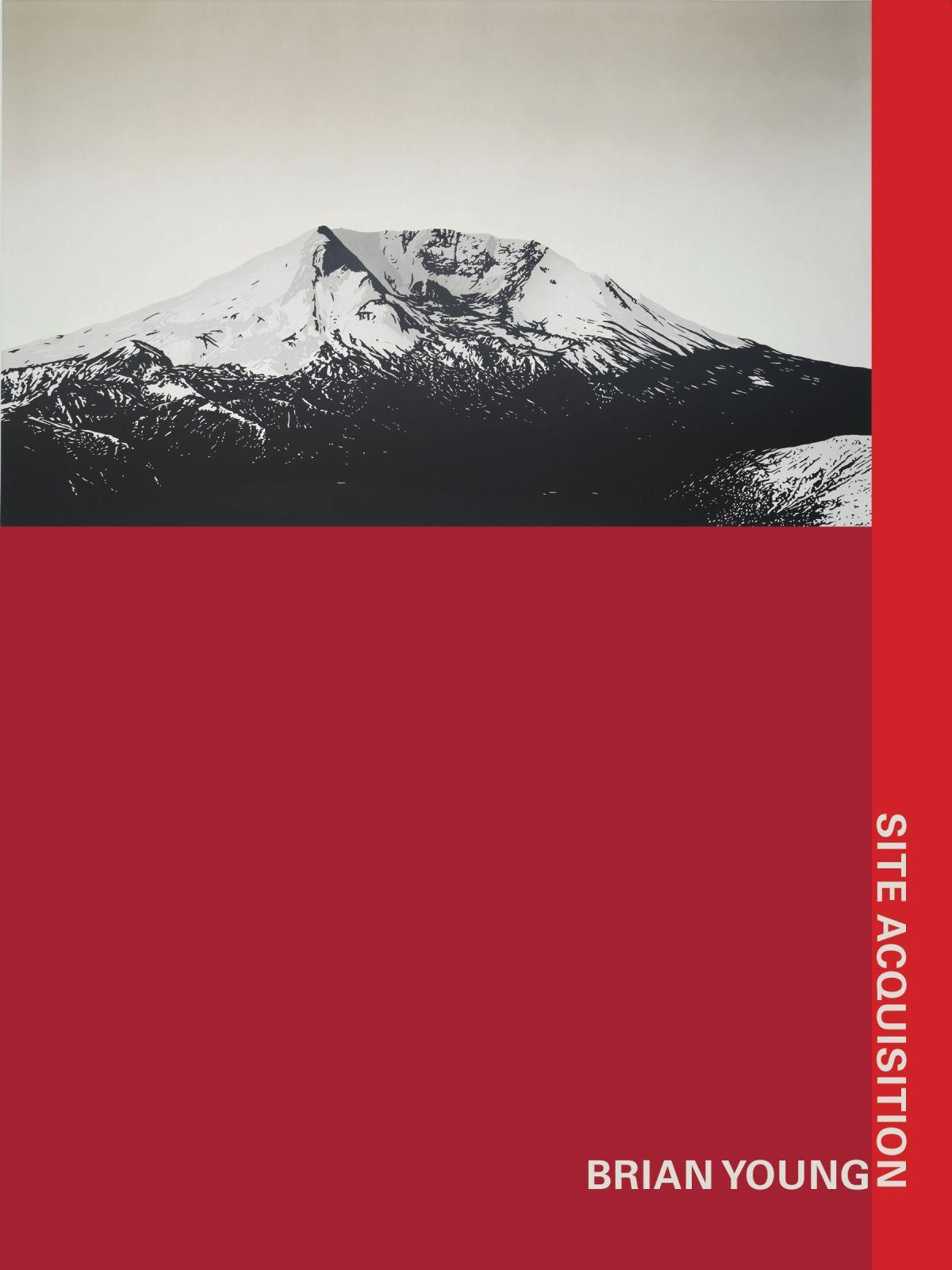 Vorderes Coverbild Site Acquisition