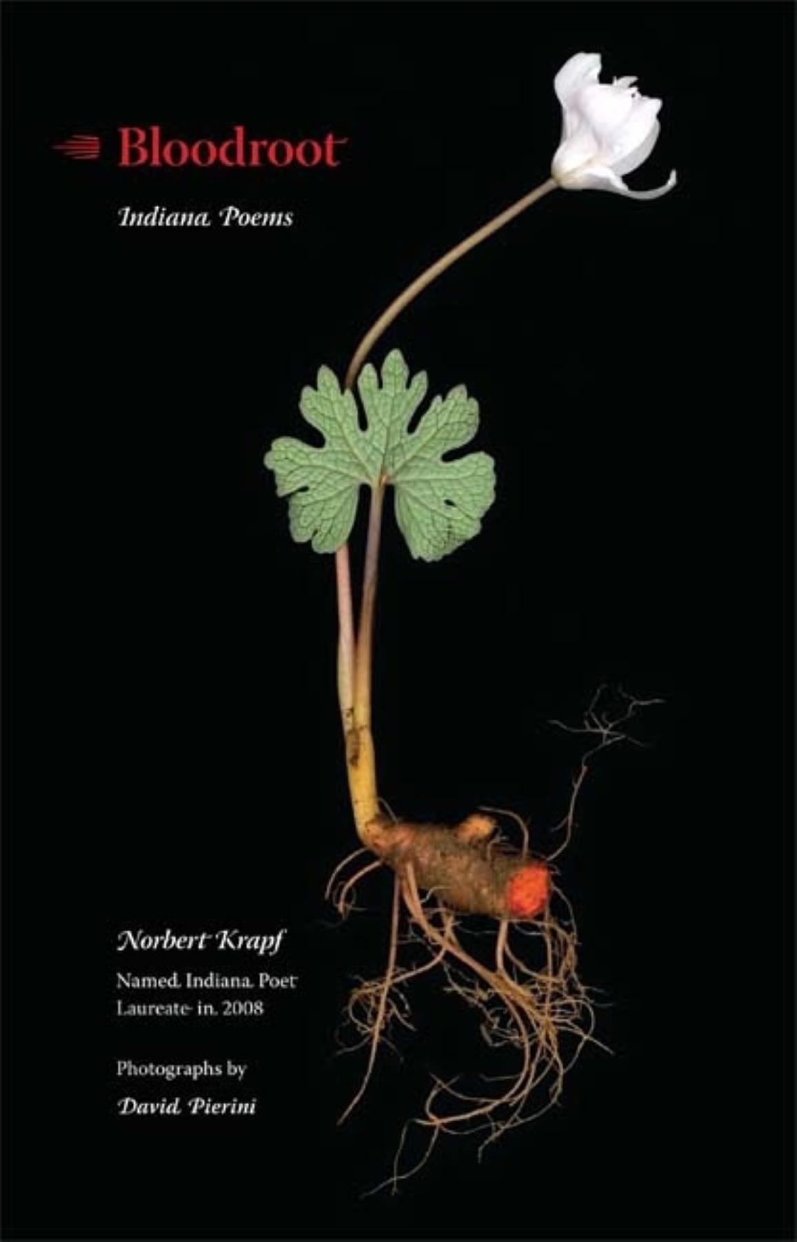 Vorderes Coverbild Bloodroot